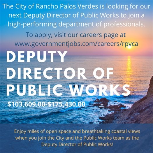 Deputy Director of Public Works
