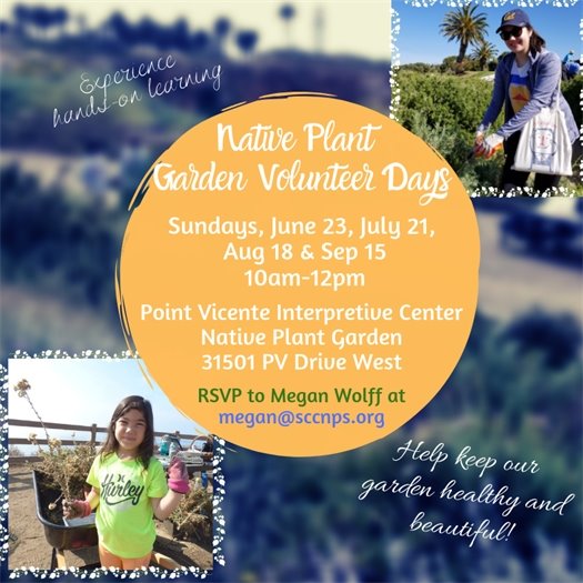 native plant garden summer 2019 flyer