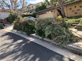RPV/EDCO Brush Clearing Continues