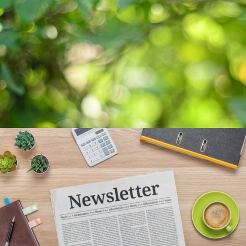 fall newsletter 2023