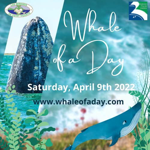 Whale of a Day 