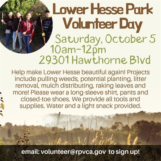 Lower Hesse Park Volunteer Day