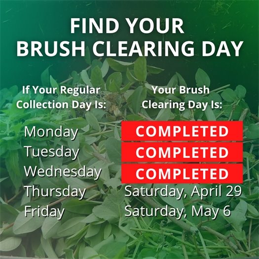 A pile of leaves and tree trimmings fills a green waste bin. A headline says Find Your Brush Clearing Day. Body text says if your regular collection day is Monday, Tuesday, or Wednesday, your brush clearing day has been completed. If it is Thursday, it is Saturday, April 29.  If it is Friday, it is Saturday, May 6.  
