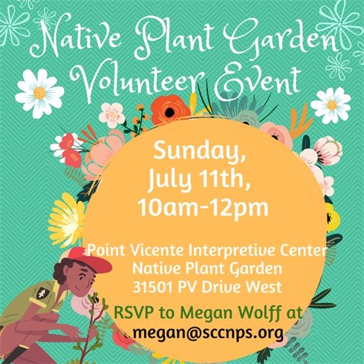 Native Plant garden volunteer event 7.11.21