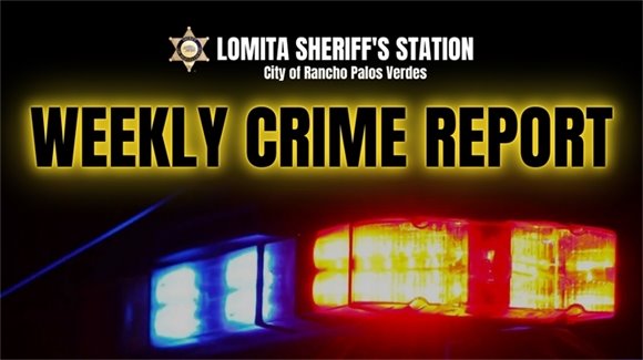 Weekly Crime Report