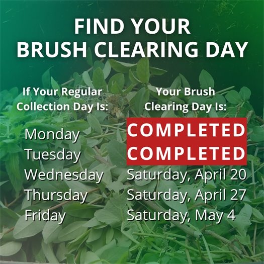 A pile of leaves and tree trimmings fills a green waste bin. A headline says Find Your Brush Clearing Day. Body text says If your regular collection day is Monday, your brush clearing day is complete. If it is Tuesday, it is complete.  If it is Wednesday, it is Saturday, April 20.  If it is Thursday, it is Saturday, April 27.  If it is Friday, it is Saturday, May 4.  