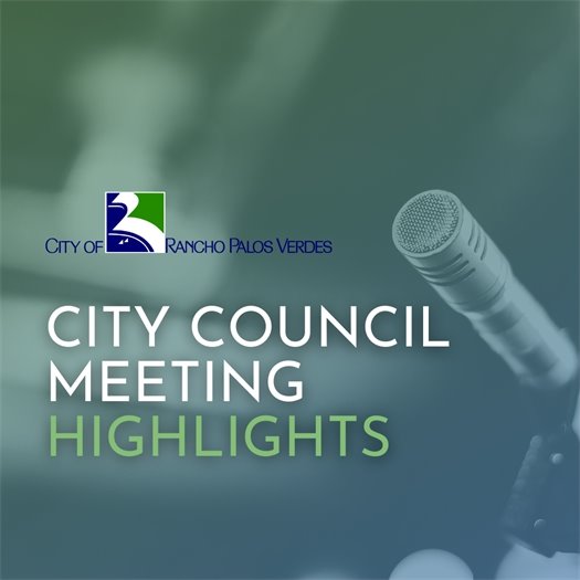 City Council Meeting Highlights