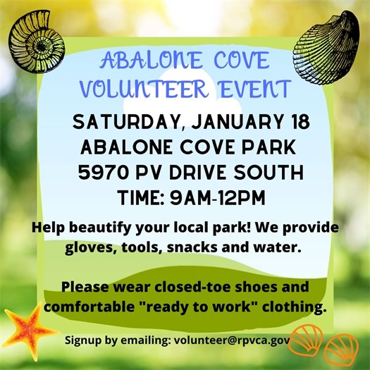 Abalone Cove volunteer day 1.18.20