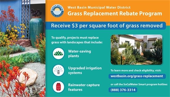 Grass Replacement Rebate Program