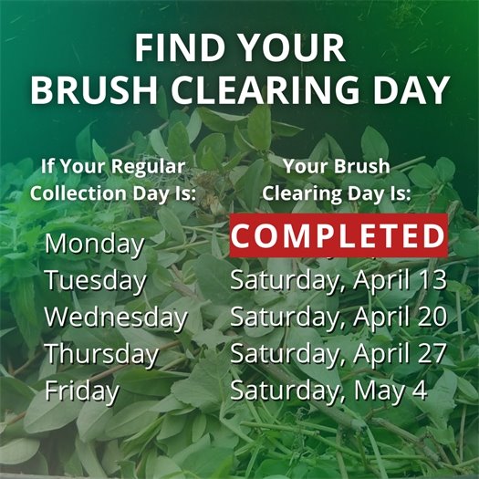 A pile of leaves and tree trimmings fills a green waste bin. A headline says Find Your Brush Clearing Day. Body text says If your regular collection day is Monday, your brush clearing day is complete. If it is Tuesday, it is Saturday, April 13.  If it is Wednesday, it is Saturday, April 20.  If it is Thursday, it is Saturday, April 27.  If it is Friday, it is Saturday, May 4.  