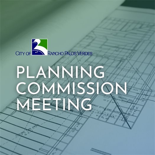 Planning Commission Meeting