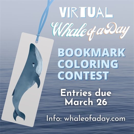 Bookmark Coloring Contest