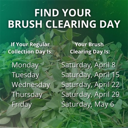 A pile of leaves and tree trimmings fills a green waste bin. A headline says Find Your Brush Clearing Day. Body text says if your regular collection day is Monday, your brush clearing day is Saturday, April 8. If it is Tuesday, it is Saturday, April 15.  If it is Wednesday, it is Saturday, April 22.  If it is Thursday, it is Saturday, April 29.  If it is Friday, it is Saturday, May 6.  