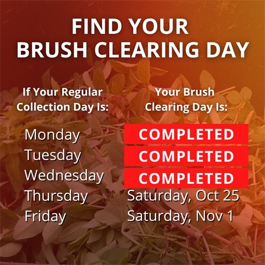 A pile of leaves and tree trimmings fills a green waste bin. A headline says Find Your Brush Clearing Day. Body text says if your regular collection day is Monday, your brush clearing day has been completed. If it is Tuesday, it has been completed. If it is Wednesday, it has been completed. If it is Thursday, it is Saturday, October 25. If it is Friday, it is Saturday, November 1.