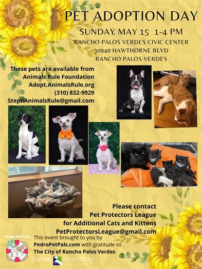 Pet Adoption Flyer