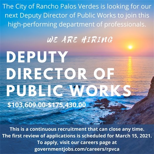 Deputy Director of PW