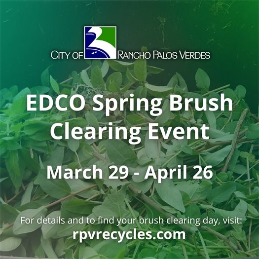 A pile of leaves and tree trimmings fills a green waste bin. A headline under the City of Rancho Palos Verdes logo says EDCO Spring Brush Clearing Event March 29-April 26. For details and to find your brush clearing day, visit: rpvrecycles.com.