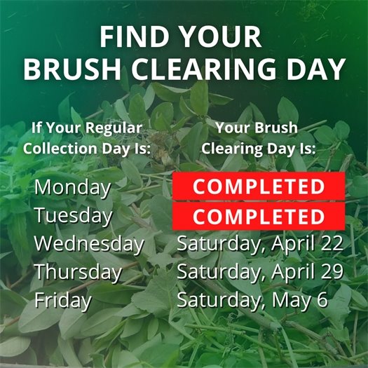 A pile of leaves and tree trimmings fills a green waste bin. A headline says Find Your Brush Clearing Day. Body text says if your regular collection day is Monday or Tuesday, your brush clearing day has been completed. If it is Wednesday, it is Saturday, April 22.  If it is Thursday, it is Saturday, April 29.  If it is Friday, it is Saturday, May 6.  