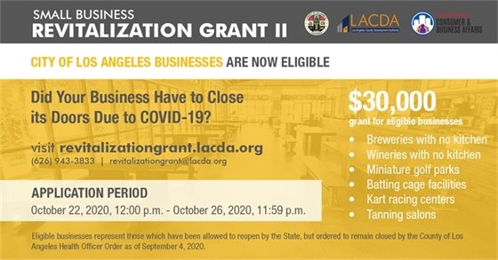 Small Business Revitalization Grant