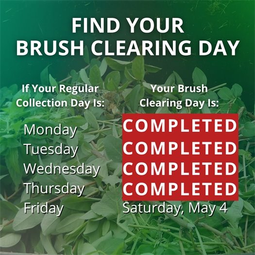 A pile of leaves and tree trimmings fills a green waste bin. A headline says Find Your Brush Clearing Day. Body text says If your regular collection day is Monday, your brush clearing day is complete. If it is Tuesday, it is complete.  If it is Wednesday, it is complete.  If it is Thursday, it is complete.  If it is Friday, it is Saturday, May 4.  