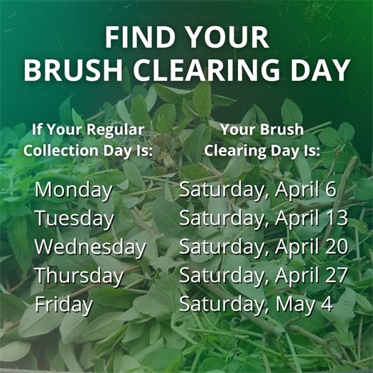 A pile of leaves and tree trimmings fills a green waste bin. A headline says Find Your Brush Clearing Day. Body text says If your regular collection day is Monday, your brush clearing day is Saturday, April 6. If it is Tuesday, it is Saturday, April 13.  If it is Wednesday, it is Saturday, April 20.  If it is Thursday, it is Saturday, April 27.  If it is Friday, it is Saturday, May 4.  