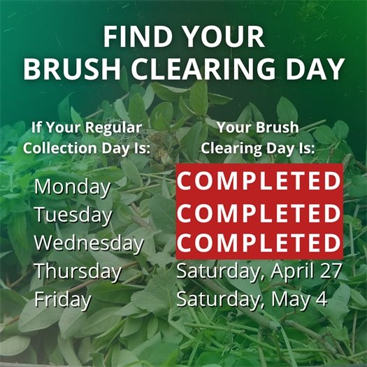 A pile of leaves and tree trimmings fills a green waste bin. A headline says Find Your Brush Clearing Day. Body text says If your regular collection day is Monday, your brush clearing day is complete. If it is Tuesday, it is complete.  If it is Wednesday, it is complete.  If it is Thursday, it is Saturday, April 27.  If it is Friday, it is Saturday, May 4.  