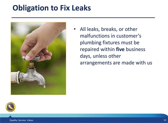 Obligation to Fix Leaks