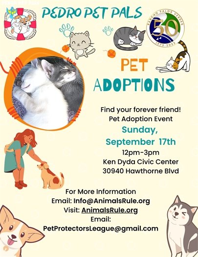 cat adoption event