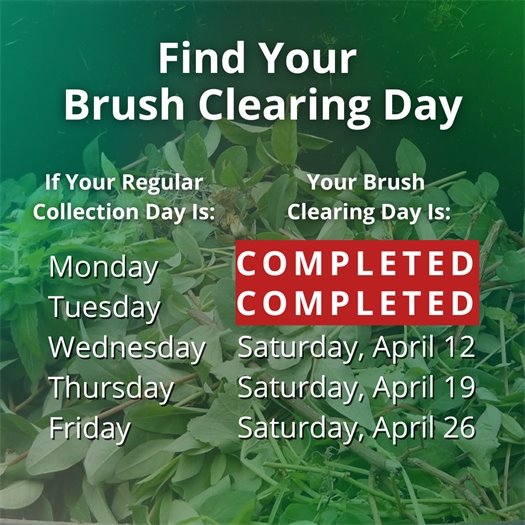A pile of leaves and tree trimmings fills a green waste bin. A headline says Find Your Brush Clearing Day. Body text says if your regular collection day is Monday, your brush clearing day has been completed. If it is Tuesday, it has been completed. If it is Wednesday, it is Saturday, April 12. If it is Thursday, it is Saturday, April 19. If it is Friday, it is Saturday, April 26.