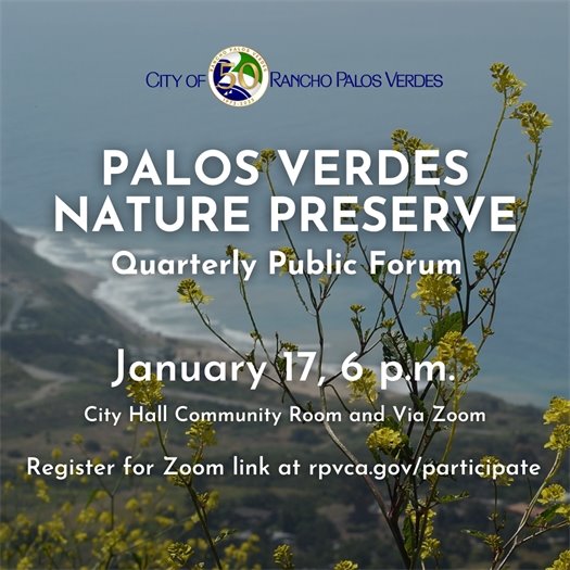 The Rancho Palos Verdes coastline is shown from Del Cerro Park, with yellow flowers in the foreground. A headline under the City of Rancho Palos Verdes logo says Palos Verdes Nature Preserve Quarterly Public Forum, January 17, 6 p.m. City Hall Community Room and via Zoom. Register for Zoom link at rpvca.gov/participate