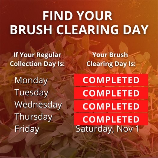 A pile of leaves and tree trimmings fills a green waste bin. A headline says Find Your Brush Clearing Day. Body text says if your regular collection day is Monday, your brush clearing day has been completed. If it is Tuesday, it has been completed. If it is Wednesday, it has been completed. If it is Thursday, it has been completed. If it is Friday, it is Saturday, November 1.