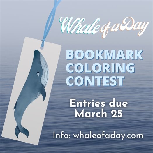 Bookmark Coloring Contest