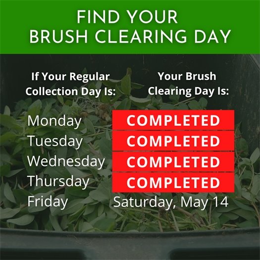 EDCO Spring Brush Clearing Event 