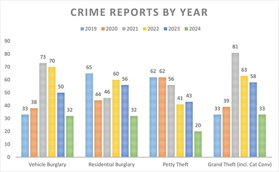 Chart with crime data for 2019-2024