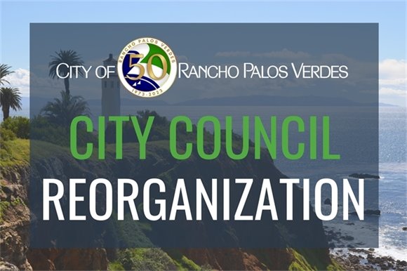 City Council Reorganization