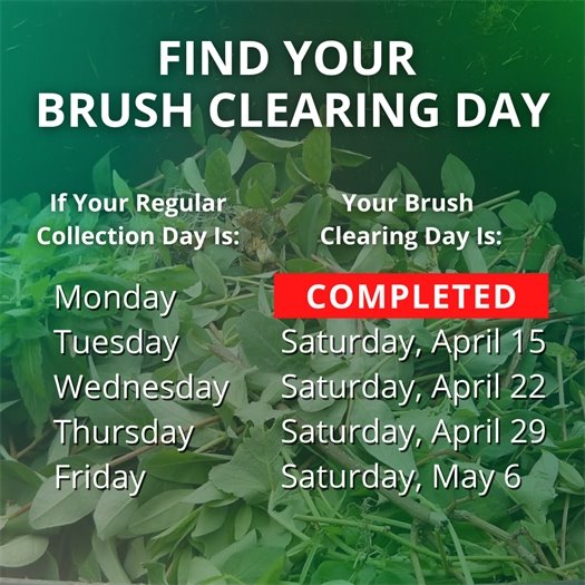 A pile of leaves and tree trimmings fills a green waste bin. A headline says Find Your Brush Clearing Day. Body text says if your regular collection day is Monday, your brush clearing day has been completed. If it is Tuesday, it is Saturday, April 15.  If it is Wednesday, it is Saturday, April 22.  If it is Thursday, it is Saturday, April 29.  If it is Friday, it is Saturday, May 6.  