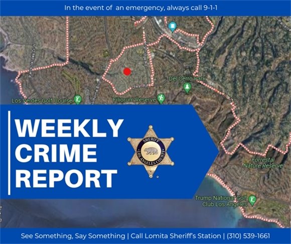 Weekly Crime Report