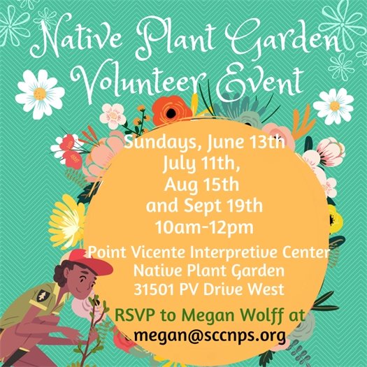 native plant volunteer