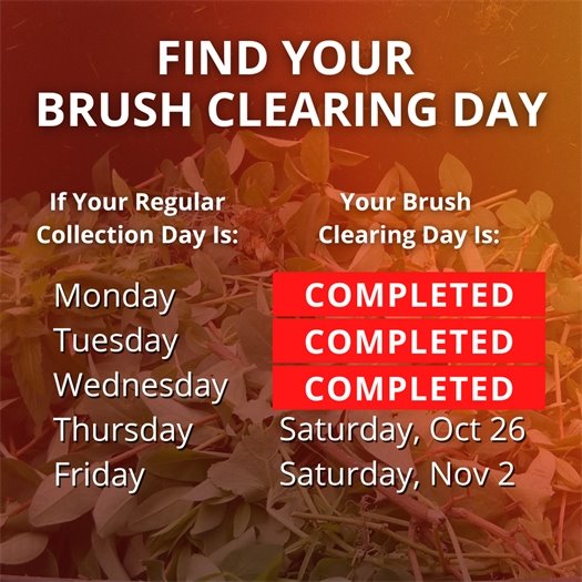 A pile of leaves and tree trimmings fills a green waste bin. A headline says Find Your Brush Clearing Day. Body text says if your regular collection day is Monday, your brush clearing day has been completed. If it is Tuesday, it has been completed.  If it is Wednesday, it has been completed.  If it is Thursday, it is Saturday, October 26.  If it is Friday, it is Saturday, November 2.  