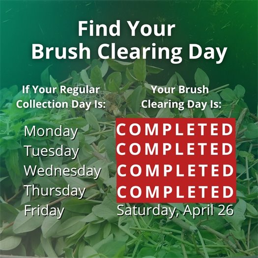 A pile of leaves and tree trimmings fills a green waste bin. A headline says Find Your Brush Clearing Day. Body text says if your regular collection day is Monday, your brush clearing day has been completed. If it is Tuesday, it has been completed. If it is Wednesday, it has been completed. If it is Thursday, it has been completed. If it is Friday, it is Saturday, April 26.