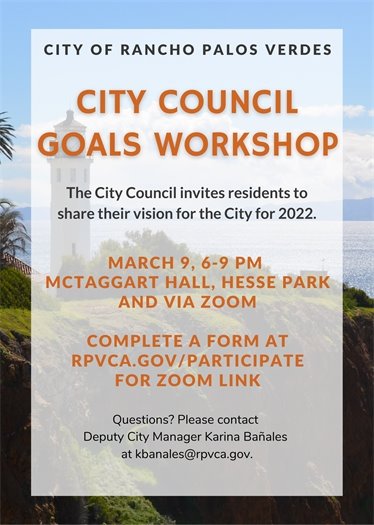 Virtual Goals Workshop Flyer