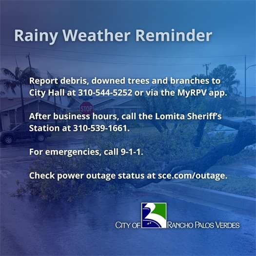 A fallen tree branch rests in the roadway in a neighborhood in Rancho Palos Verdes under stormy skies. Rainy Weather Reminder: Report debris, downed trees and branches to City Hall at 310-544-5252 or via the MyRPV app. After business hours, call the Lomita Sheriff’s Station at 310-539-1661. For emergencies, call 9-1-1. Check power outage status at sce.com/outage.