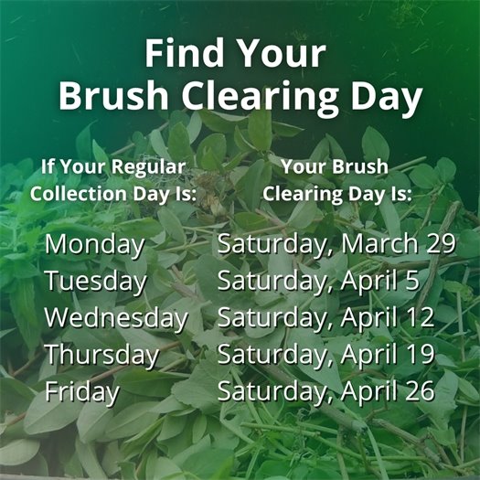 A pile of leaves and tree trimmings fills a green waste bin. A headline says Find Your Brush Clearing Day. Body text says if your regular collection day is Monday, your brush clearing day is Saturday, March 29. If it is Tuesday, it is Saturday, April 5. If it is Wednesday, it is Saturday, April 12. If it is Thursday, it is Saturday, April 19. If it is Friday, it is Saturday, April 26.