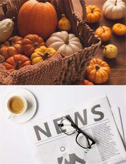 Fall City Newsletter