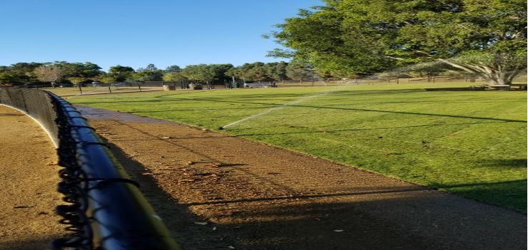 Eastview dog park fence and grass