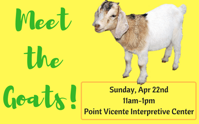 Meet the Goats!spot