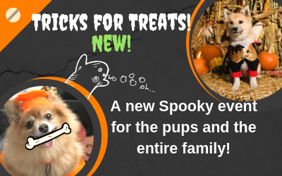 Tricks for Treats! New!