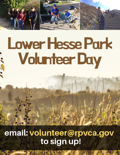 Lower Hesse Park Volunteer Day