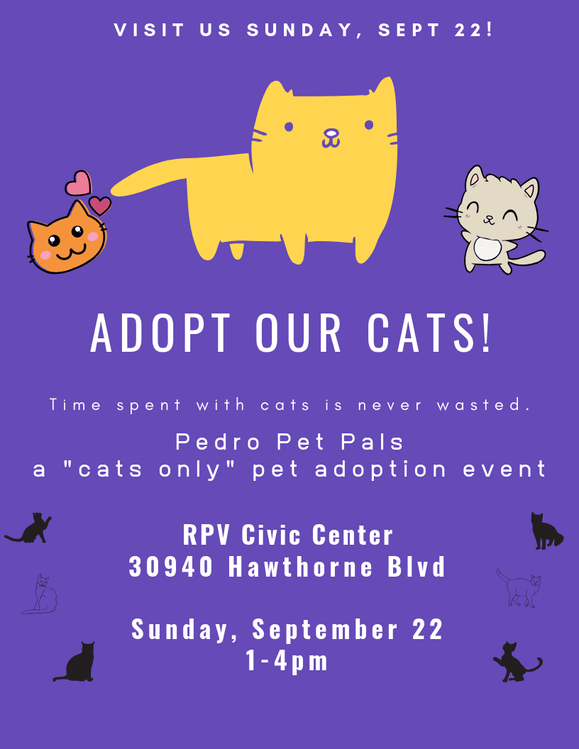 pedro pet pals spotlight