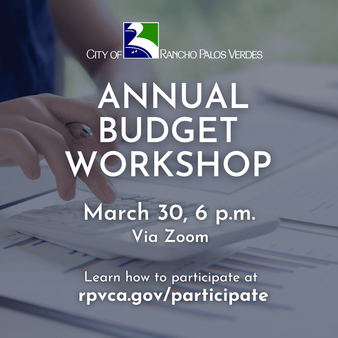 Budget Workshop